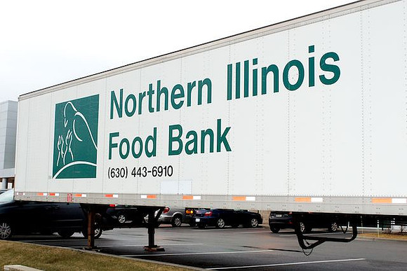 GT volunteering at the NIFB - Tuesday