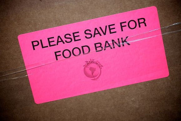 GT volunteering at the NIFB - Tuesday
