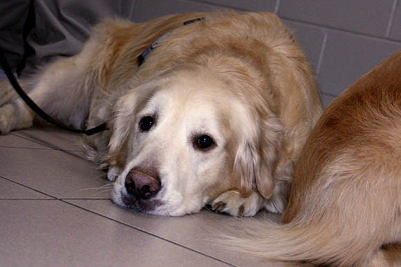 Clinic 4 - 2010