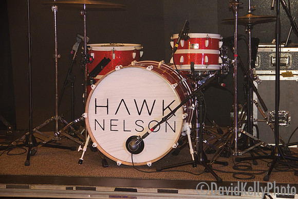 2015 Hawk Nelson concert